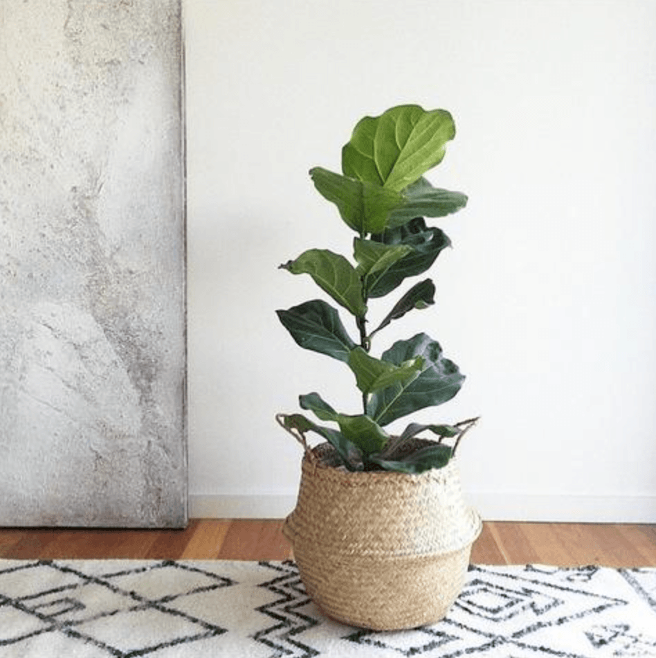 37 Expert Professional Organisers Share Their Favourite Tip